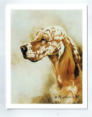 New English Setter Head Study 6 Note Cards (notecard) 6 Envelopes Ruth Maystead